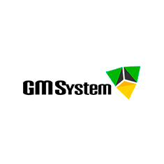gm system